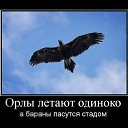 ���� Desperado, ������, 45 ��� - ��������� 10 �������� 2010 � ������ �������