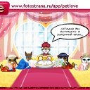 ���� �����, ����� ���, 41 ��� - ��������� 17 ������ 2011 � ������ �PetLove�