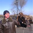 ���� ���, �����, 42 ���� - ��������� 17 ������� 2012 � ������ ���� ����