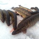 ���� ���������- ���� �������� !!, ������ - ��������� 11 ������� 2013 � ������ �11 ������� 2013�!!!!!�