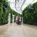 MILDA I MAMA �� ������� �Milda, Mama posetili Longwood gardens�