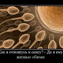���� �����, ������ - ��������� 6 ����� 2011 � ������ ������