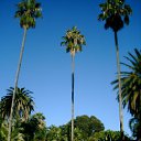   (), , 52  -  13  2012