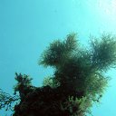 ���� �����, ���������, 48 ��� - ��������� 21 ������� 2012 � ������ ���� ����������