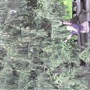 ���� ���������, ������, 61 ��� - ��������� 28 ��� 2011 � ������ ������ � �����������