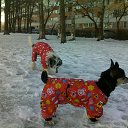 ���� Yushka Ya, �����-��������� - ��������� 12 ������ 2013 � ������ ���� �������)�