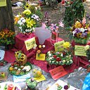 ���� ���� ����, ����������, 51 ��� - ��������� 19 ����� 2010 � ������ ��������� ������ 2008�