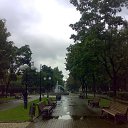 ���� �����, ���������������, 64 ���� - ��������� 8 ������� 2011 � ������ ������� �����