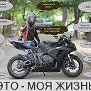 ���� ����, ��������, 43 ���� - ��������� 7 ���� 2013 � ������ ���� ����������