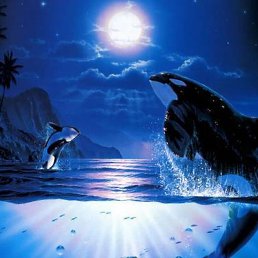 ���� �����, ����-�����������, 69 ��� - ��������� 25 ������� 2012