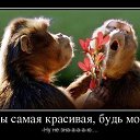 ���� �����, �����������, 41 ��� - ��������� 26 ���� 2013