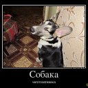 ���� ������, ������, 35 ��� - ��������� 23 ��� 2013 � ������ ���� ����������