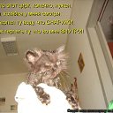 ���� ����, �����, 50 ��� - ��������� 25 ������� 2011 � ������ ������������
