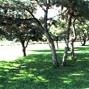 ���� ����(�� �������), ��������������, 62 ���� - ��������� 14 ������� 2011 � ������ ���������������