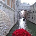 ���� �����, �����-���������, 53 ���� - ��������� 24 ��� 2013 � ������ ���������