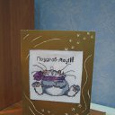 ���� ����, ������� �����, 42 ���� - ��������� 28 ����� 2010 � ������ ���� �������