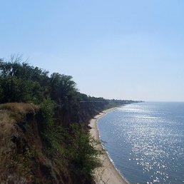 ���� ����, ���������, 42 ���� - ��������� 29 ������ 2009