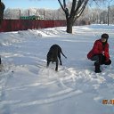  Nadezhda, , 52  -  27  2011    ϸ, ,       / My Dogs, Horses, Cats and others