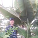 ���� ������, ��������� - ��������� 2 ��� 2012 � ������ ���� ����������