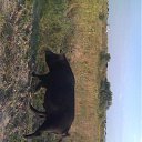 ���� �������, ������-��-����, 53 ���� - ��������� 31 ������ 2012 � ������ �� �������