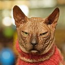 ���� ����� - ���������� ��������!!!, �����������, 56 ��� - ��������� 31 ������� 2009 � ������ �����Ȼ