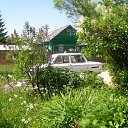  , , 36  -  25  2010      . 2010. .