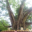 ����� ��� ����� ������� ������ �������� � �����! � � �����...:) �� ������� ���� ����������