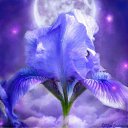 ���� �������, ������ - ��������� 21 ������ 2012 � ������ ���������
