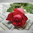 ���� ������, ����, 51 ��� - ��������� 12 ���� 2011 � ������ ������� ���...�