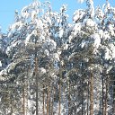  Serzh Van Der Maaremaan,  -  1  2009    