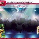  , , 24  -  28  2010   PetLove