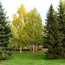  Vipalych, , 68  -  4  2011