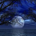  Natalia, , 62  -  17  2012   