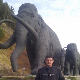 �����, 46 ���, ������