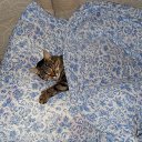 ���� Yenz, ������, 46 ��� - ��������� 16 ������� 2009