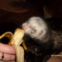 ���� ����, ������, 24 ���� - ��������� 10 ������� 2011 � ������ ����������� �����