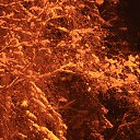 ���� Jouri, ������-��-���� - ��������� 24 ������ 2013 � ������ ��������