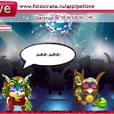   (), -, 47  -  29  2010   PetLove