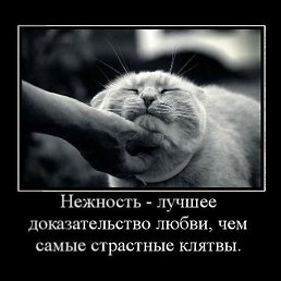 ���� ������, �������, 60 ��� - ��������� 30 ������ 2013