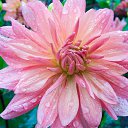 ���� ����� - ���������� ��������!!!, �����������, 56 ��� - ��������� 11 ������ 2010 � ������ ����������