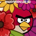 ���� ����, ������, 25 ��� - ��������� 23 ����� 2012 � ������ �PetLove�