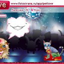  ,  -  4  2010   PetLove