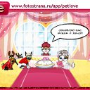 ���� Phibrizzo, ����, 41 ��� - ��������� 8 ������� 2010 � ������ �PetLove�