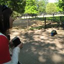 ���� �����a, ������� - ��������� 4 ���� 2011 � ������ ���� ����������