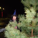 ���� ������, �������, 41 ��� - ��������� 11 ������� 2012 � ������ ���� ����������