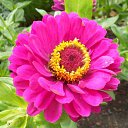  , , 25  -  19  2012   PetLove