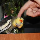 ���� ��������, �����-���������, 37 ��� - ��������� 9 ������� 2012 � ������ ������������