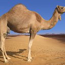 ���� ���������, ���������, 46 ��� - ��������� 30 ������ 2010 � ������ ���������