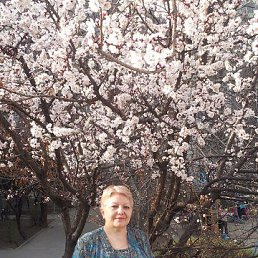 �����, ������ 2013 �.