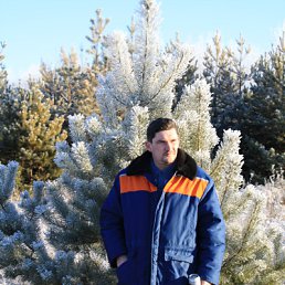 ���� ������, �����, 52 ���� - ��������� 8 ������� 2010